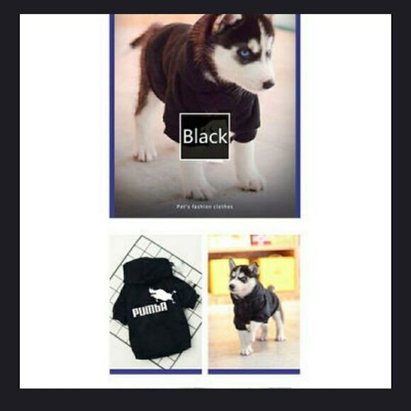 🎉HP🎉 Dog Hoodie Winter - Picture 2 of 4